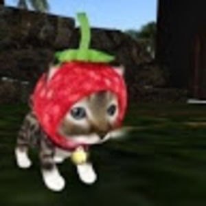 Meet your Posher, Elle